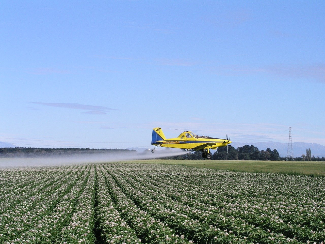 Could Glyphosate Verdict Renew a Legal Battle Over Agent Orange?