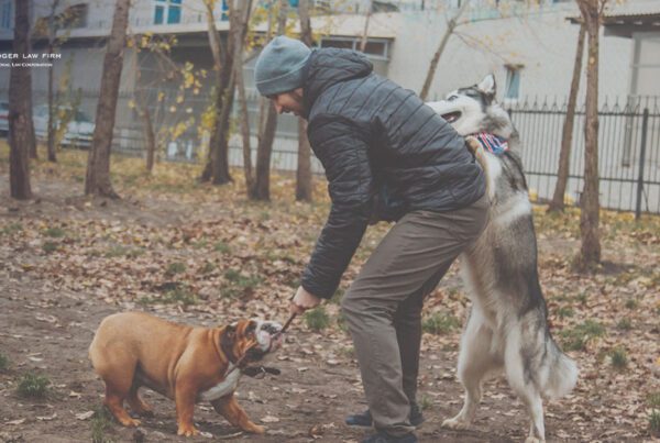 The Modern Landscape of Strict Liability