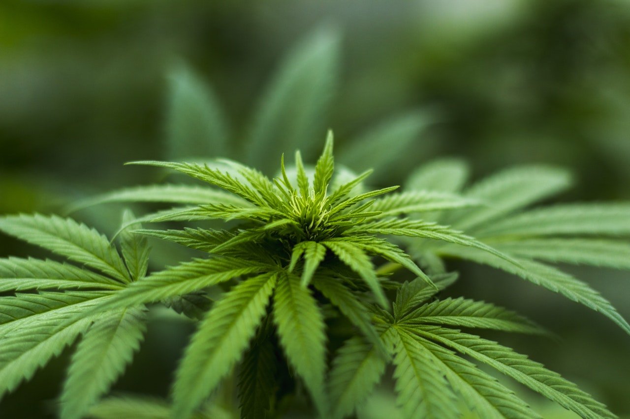 Can Marijuana Use Affect a Workers’ Compensation Claim?