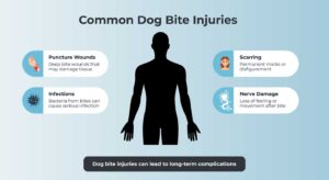 Common Dog Bite Injuries