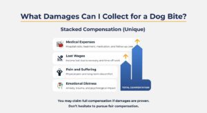 What Damages Can I Collect for a Dog Bite