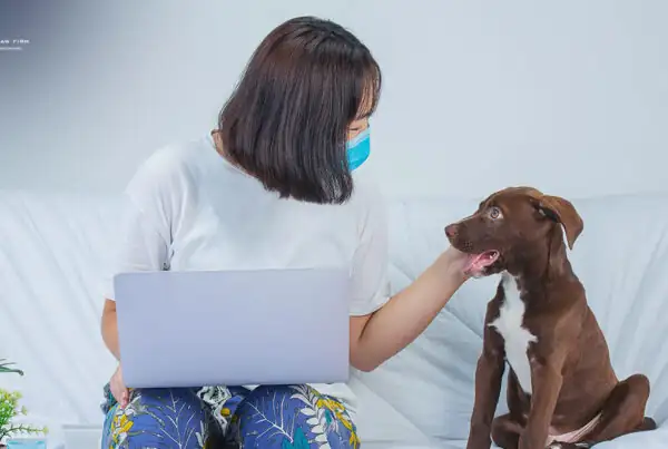 Does Renters Insurance Cover Dog Bites?